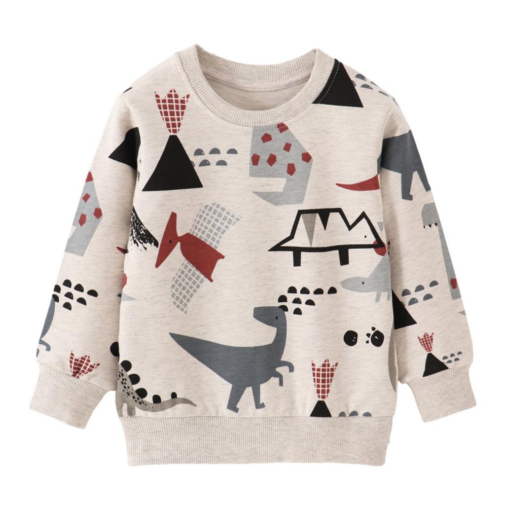 Boys Neck Long Sleeve Sweatshirt Pullover Top for Casual Daily Wear