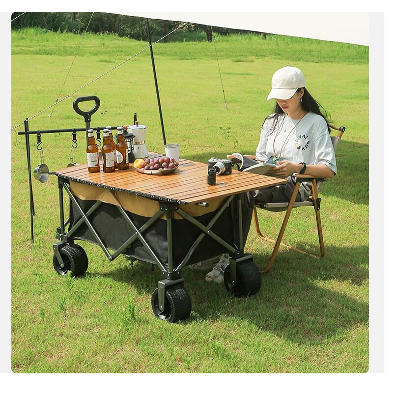Aruidi Collapsible Outdoor Camping Wagon