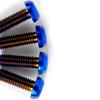 Multiple Color M6 P1mm X6/8/10/12/14/16/18/20/25/30/35mm GR5 TC4 Titanium Alloy Screw Bolt T30 Torx Mushroom Head For Bike