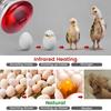 2pcs Heat Lamp 200W Bulbs 250W for Chicken Coop Brooder and Pet Warming in Cold Weather