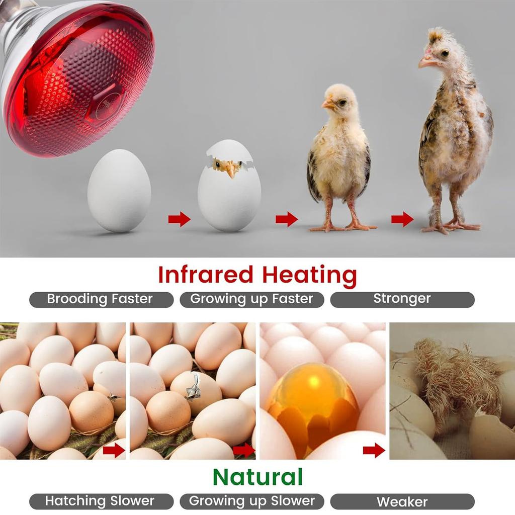2pcs Heat Lamp 200W Bulbs 250W for Chicken Coop Brooder and Pet Warming in Cold Weather
