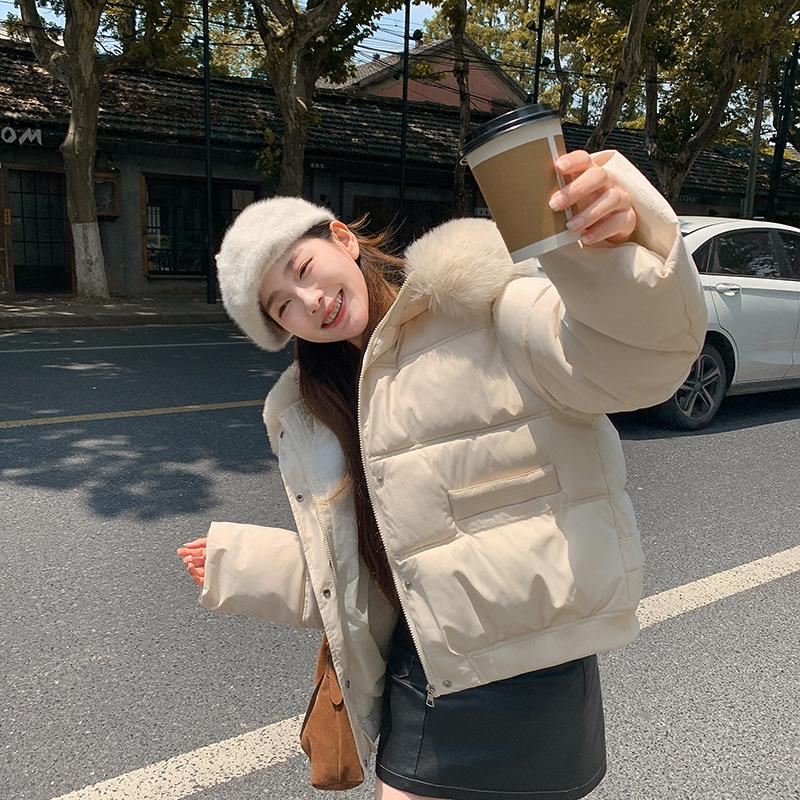 [Big Fur Collar] Winter New Loose Short Cotton-padded Clothes Women's Cotton-padded Jackets Women's Hooded Thickened