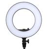 Godox LR180 LED Ring Light for Live Streaming
