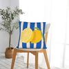 Lemon Pillow Case Custom Pillow Cover For Living Room Chair Morden Pillowcases