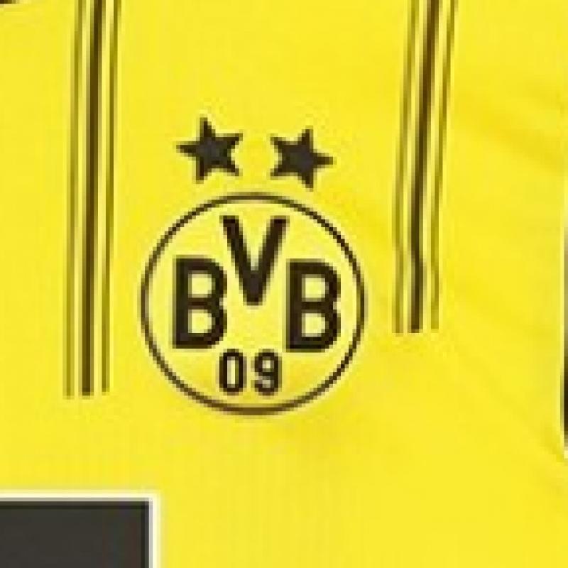 Puma Short Sleeve Jersey Dortmund 2024 25 Home Jersey