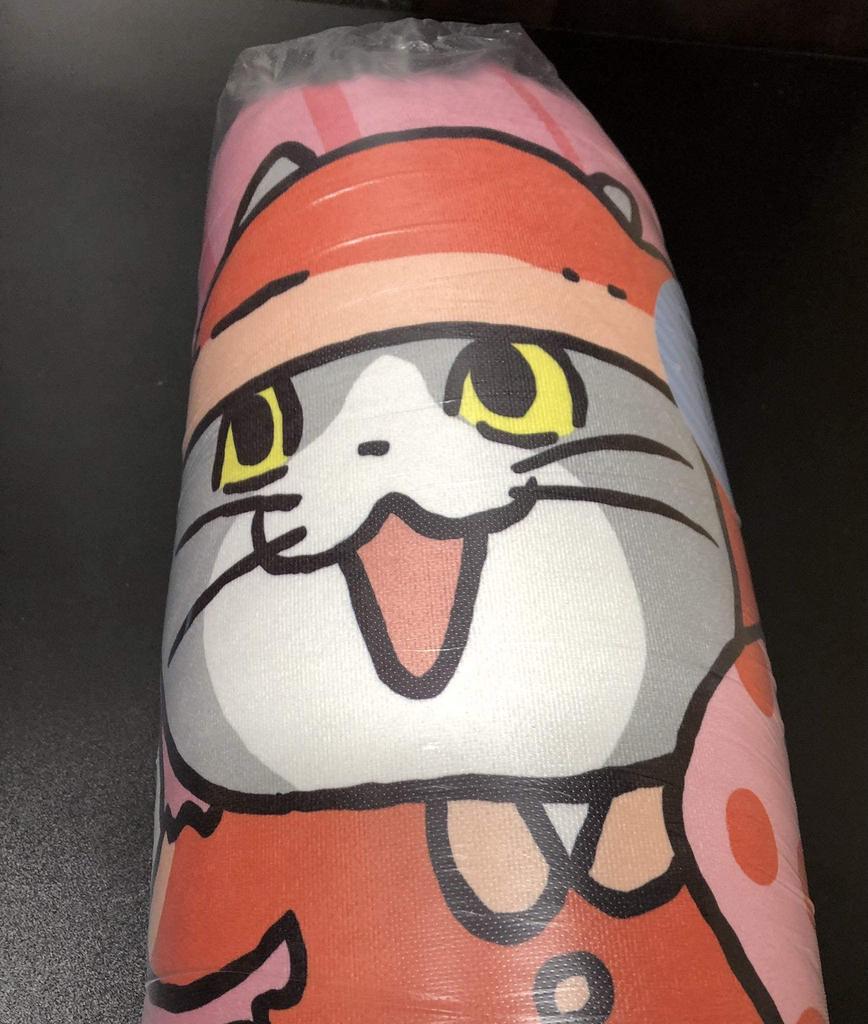 Arbeitskatze & Telefonkatze Gut Warum Kissen