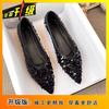 2025 new spring high-end French pointed flat-soled single shoes women's shallow mouth evening ladyshoes are not tired of feet Doudou shoes
