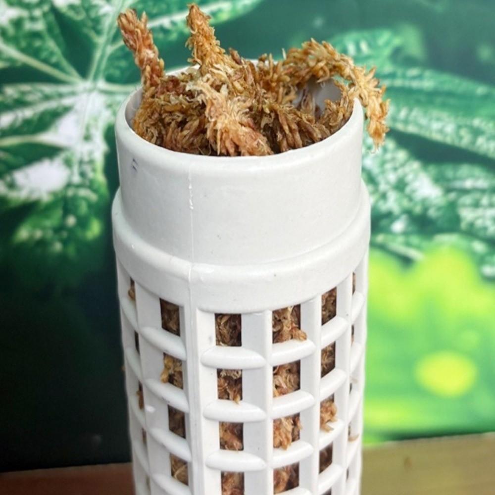 6PCS Interlocking Moss Pole Plastic Vine Fixed Support Frame Plants Growth Stand  Indoor Plants