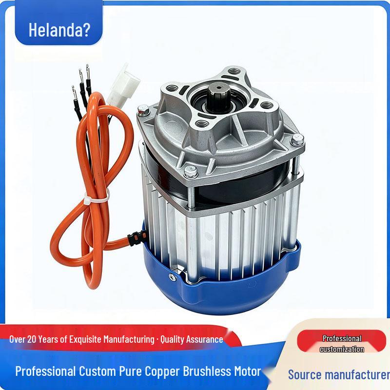 48V/60V 1000W Electric Tricycle Motor Modification