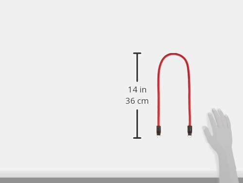 cam-in DCS-005 Series Camera Strap (75cm, Red)