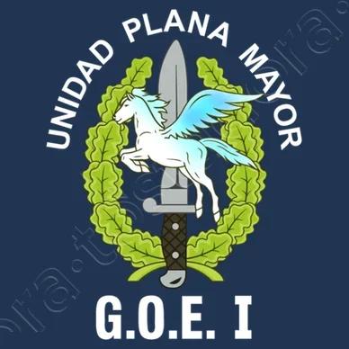 Spanish Legion GOE I Mod 1 Unidad Plana Mayor TShirt Summer Cotton Oneck Mens Short Sleeve TShirt New S3XL