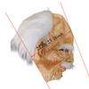 Nuova Maschera Vecchio Nonno Nonna Maschera Testa Vecchio Uomo Offerta per Feste Cosplay Spaventoso Oggetti di Scena Maschera Cosplay Terrore Divertente Oggetto di Scena Maschere in Lattice