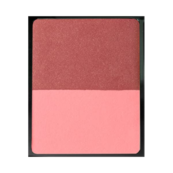 ANNA SUI Cheek Compact 6g 300