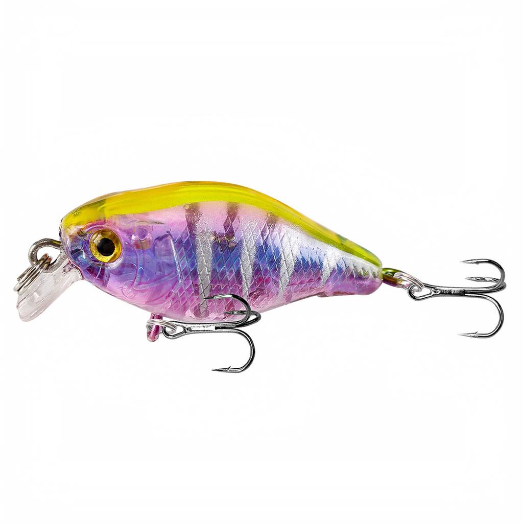 Floating Crankbait Fishing Hard for Fishing