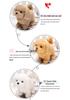 Electric Plush Teddy Puppy Toy: Walks, Barks, Wags Tail - Interactive Pet for Kids