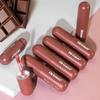 Fit Colors Chocolate Capsule Liquid Lipstick Matte Waterproof Long Lasting Nude Brown Velvet Lip Tint Non-Stick Cup Lip Gloss Makeup Cosmetics