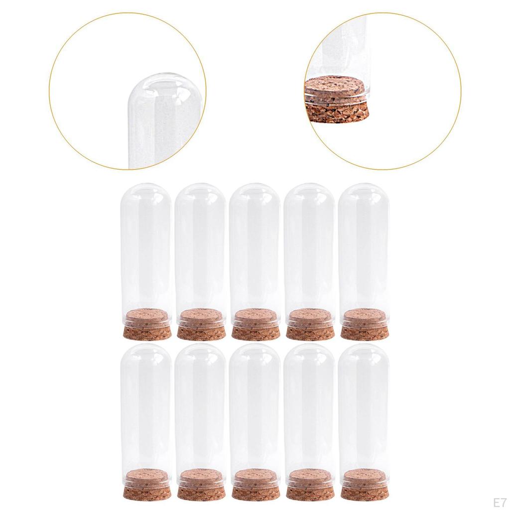 10er-Pack Glas-Display-Glocken für die Präsentation von Sammlerstücken