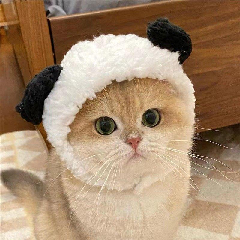 Pet Hat: Cute Bear Plush Headdress for Cats and Small Dogs