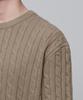 Musinsa Standard Cable Crew Neck Knit [Beige]