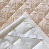 Thick Velvet Fleece Mattress Pad: Warm Coral Fleece Winter Quilt for Dorms and Home