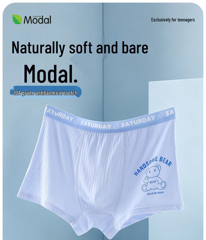 Cartoon Modal Breathable Boxer Briefs for Boys - Big Kids & Junior Students