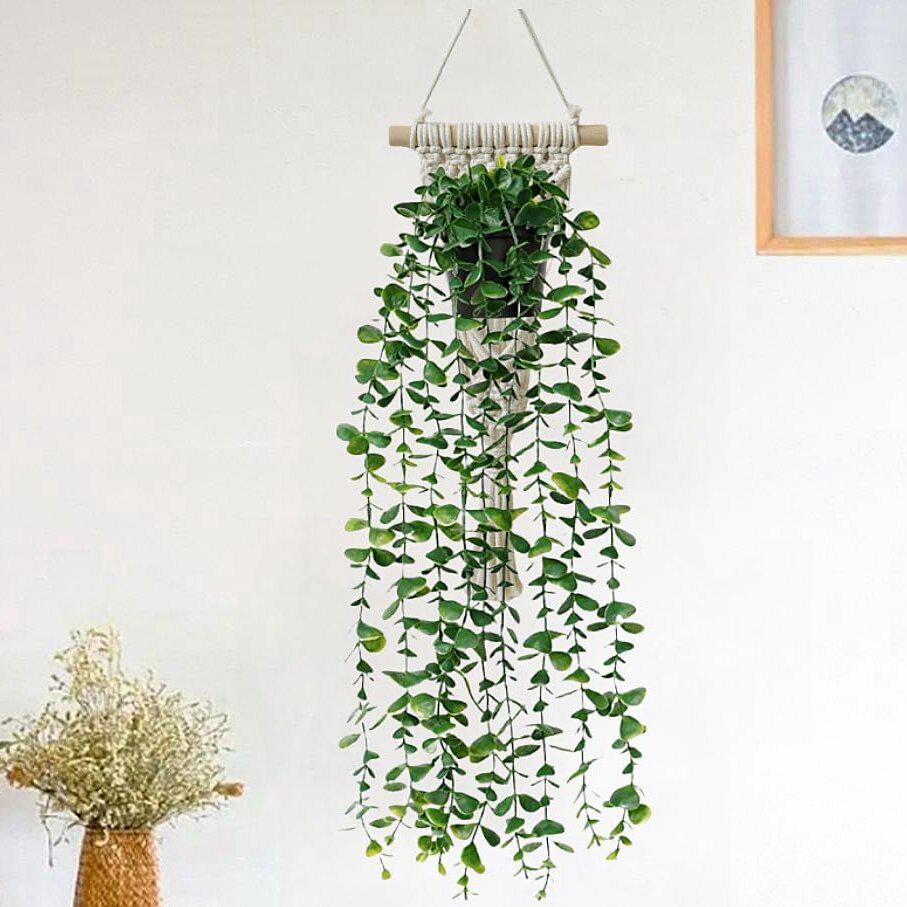 Artificial String of Pearls Vine: Cross-Border Hanging Green Plant for Home and Living Room Décor