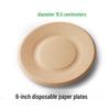 Biodegradable Disposable Plates & Dishes