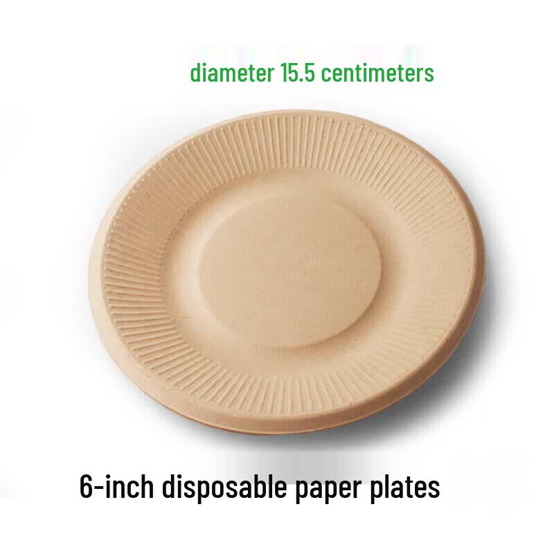 Biodegradable Disposable Plates & Dishes