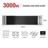 Stainless Steel Wall-Mounted Radiant Air Curtain Heater