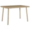 Garden Coffee Table Rectangular Beige 60 X 40 X 37 Cm Poly Rattan