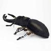 Taiyo Sangyo Boeki SA050 Wild Graphy Plush Giant Stag Gift Toy, Beetle, Realistic,
