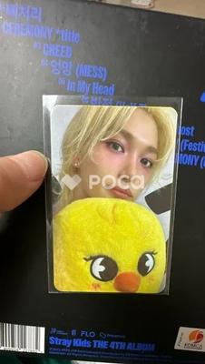 [USED] Stray Kids World Tour dominATE : Celebrate Purchase Bonus