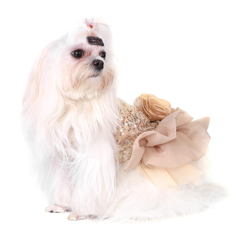 Summer Pet Cloth Small Dog Dress Puppy Sequined Princess Bubble Skirt Wedding Costume (Gold M)