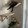 Cat Wall Mounted Furniture Climbing Stairs Jumping Platforms with Stairs Cat Bridge Nest Hammocks for Resting and Climbing