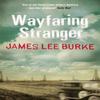 Wayfaring Stranger by James Lee Author Burke Paperback Book 9781409128830