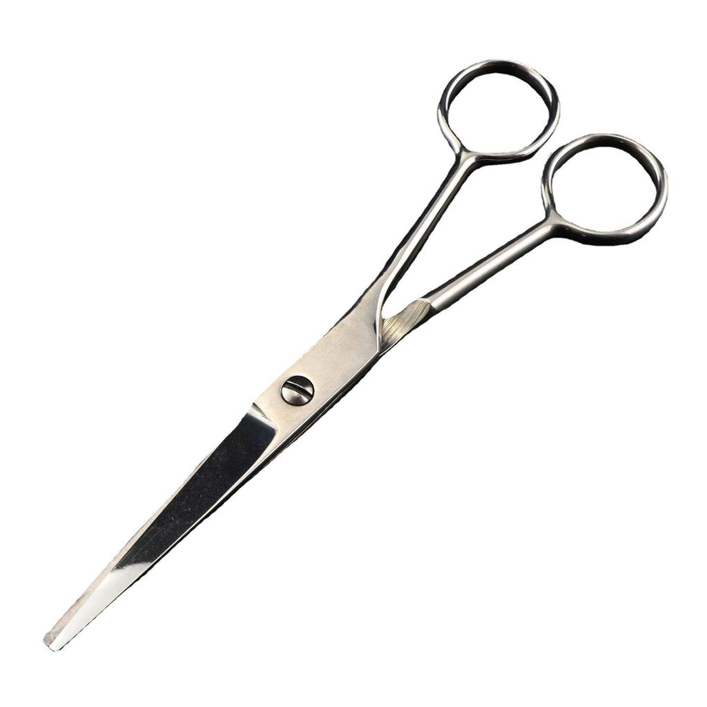 6.0" Stainless Steel Hairdressing Shears