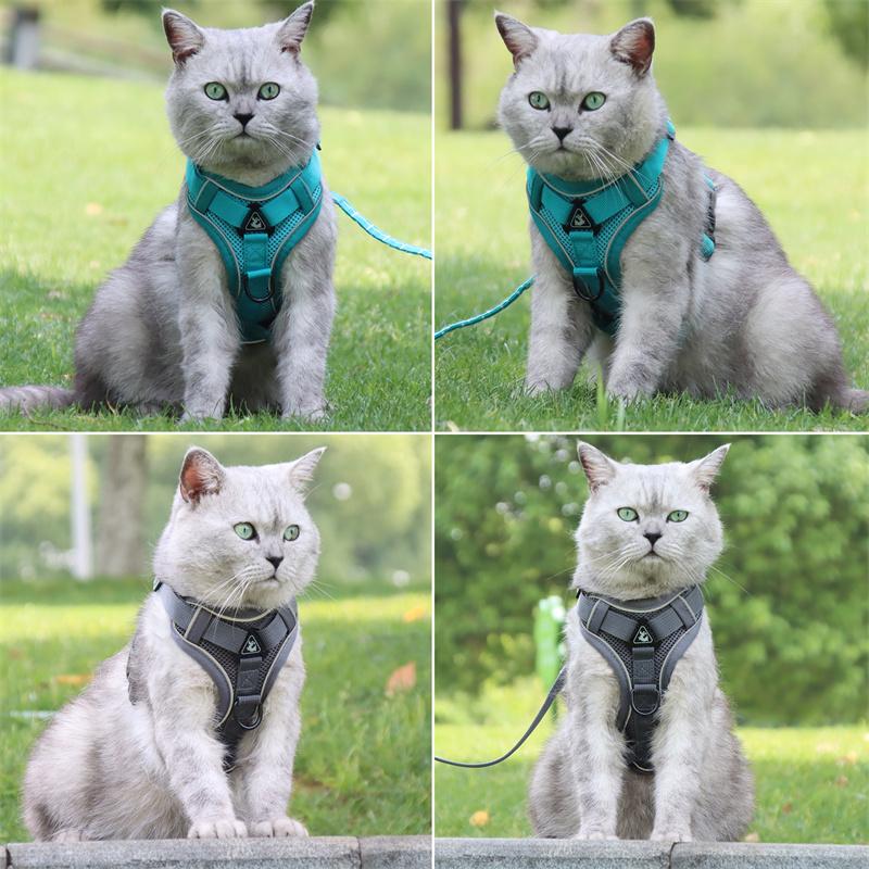 Fashion Reflective Cat Harness and Leash Sets Breathable Mesh Pet Harnesses for Small Dogs Cats Kitten Accessories Collier Chat