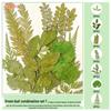 Handmade Pressed Flower Bookmark and Epoxy Sticker Pack with Real Leaf and Plant Specimens for DIY Face Makeup.