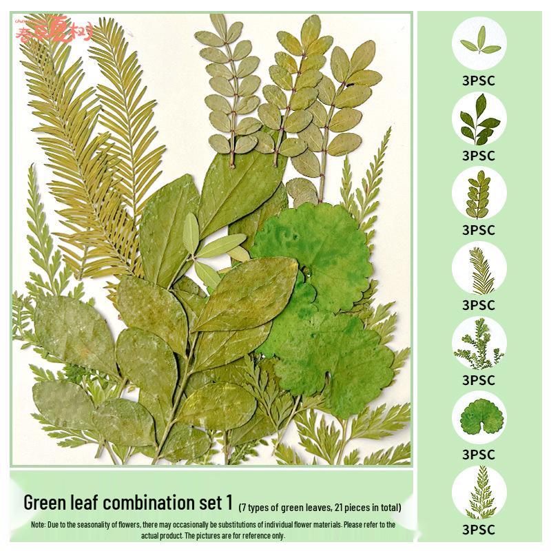 Handmade Pressed Flower Bookmark and Epoxy Sticker Pack with Real Leaf and Plant Specimens for DIY Face Makeup.