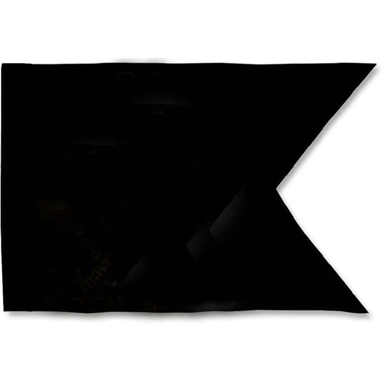 Fyon guidon flag Guidons Personalize Flags Double sided 3ply 20x27inch Banner No Customization (Blue 2 Grommets)