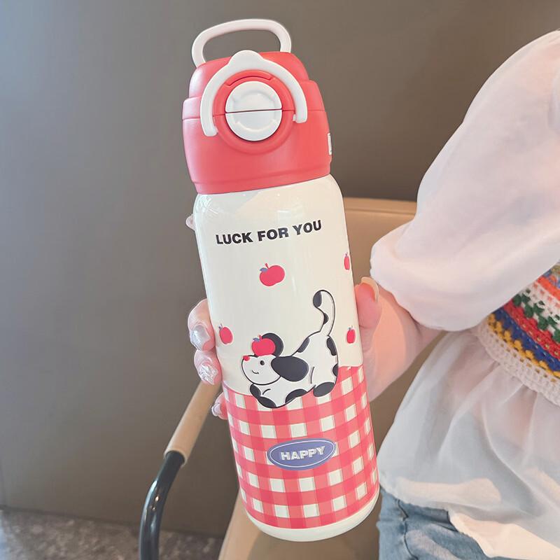 

OLOEY Double-Drink Insulated Stainless Steel Water Bottle