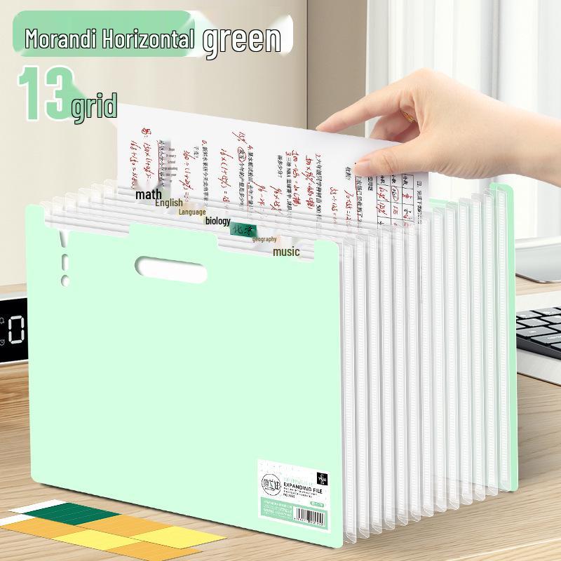 Office Document & Exam Paper Organizer - Accordion File Storage Bag