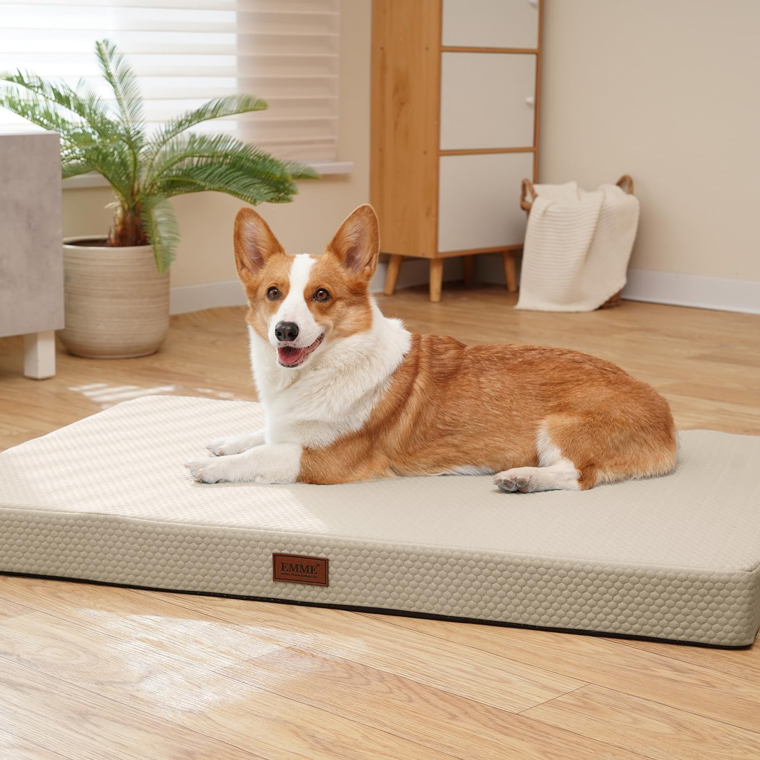 

EMME Pet Bed for Cooling Pet Value and Suitable for Senior and Multiple Removable Camel Medium Cool-to-the-Touch Dogs, Mat, Q-max 0.4, Washable,