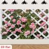 2D White Lattice Fence Pink Rose Floral Garden Backdrop