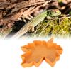 Maple Leaf Shape Reptile Water Feeder Plastic Pet Feeding Bowl Drinking Tray for Geckos Lizards Spiders Turtles