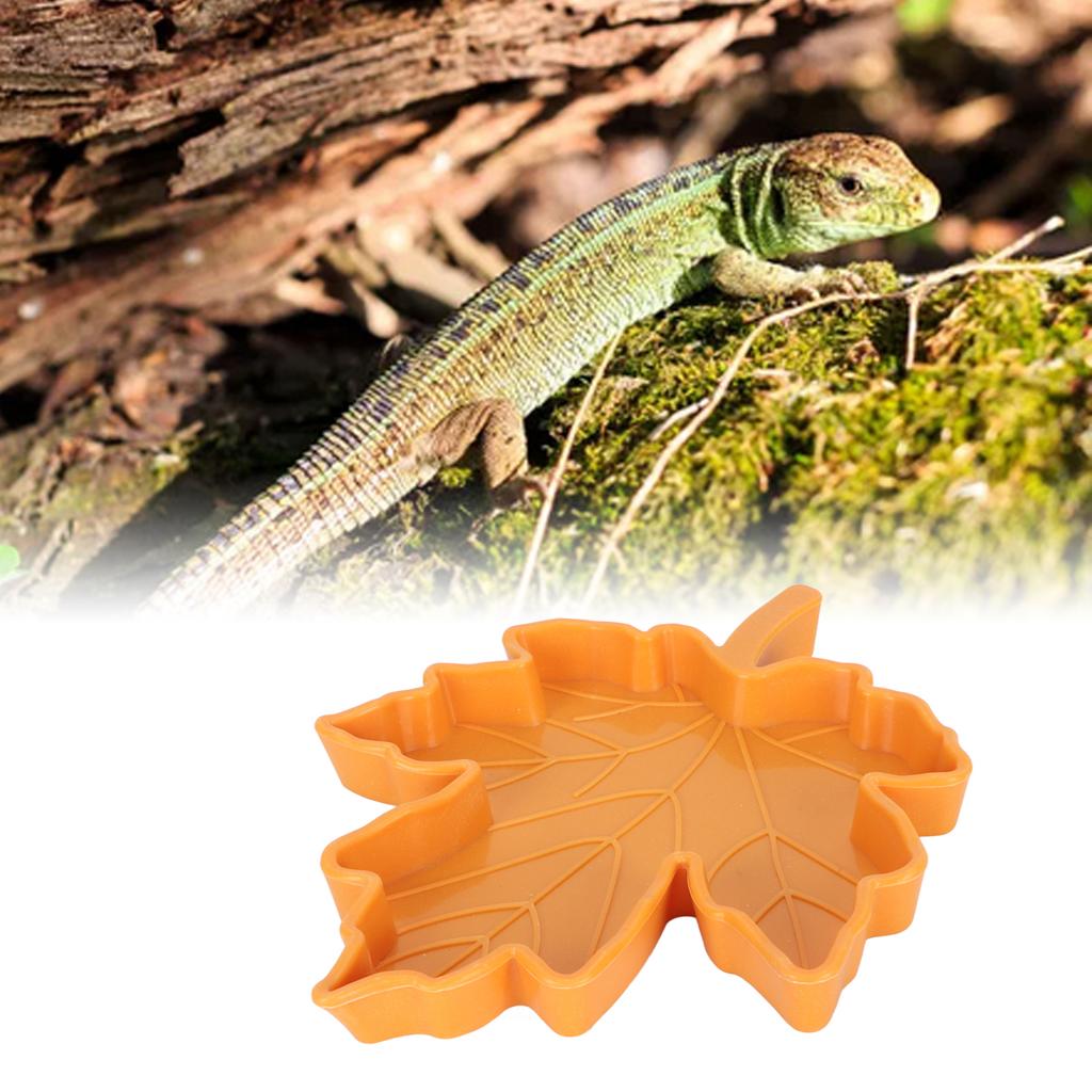 Maple Leaf Shape Reptile Water Feeder Plastic Pet Feeding Bowl Drinking Tray for Geckos Lizards Spiders Turtles