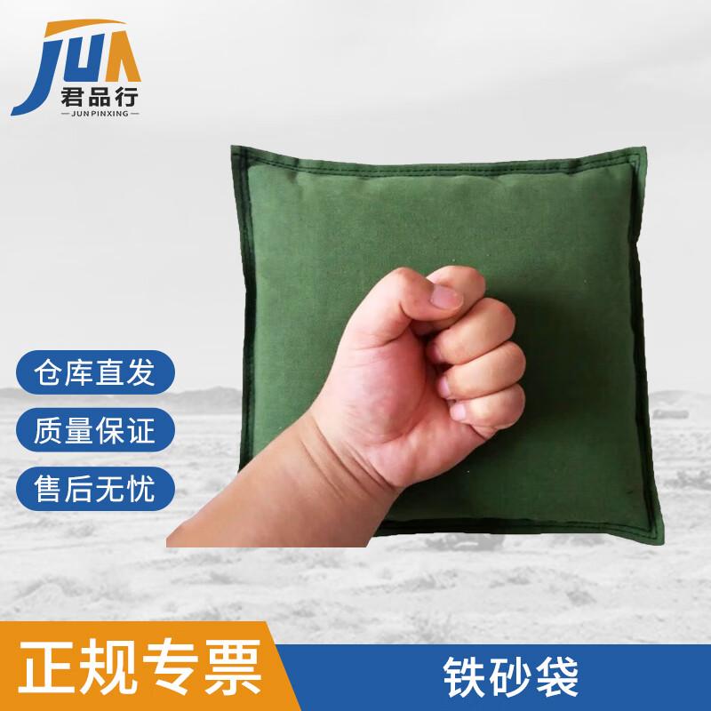 Canvas Weighted Training Sandbag