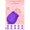 Powerful Rose Sucking Vibrator Female Clitoris Clit Sucker Vacuum Nipple Stimulator Love Egg Sexy Toys Goods for Women Adults
