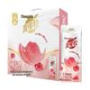 Mengniu Real Fruit Granules Milk Drink Peach Raspberry
