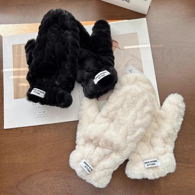Plush Gloves for Women In Winter Warmth New Solid Color Thickened Plush Fleece Fingers To Prevent Wind and Cold Student Trend